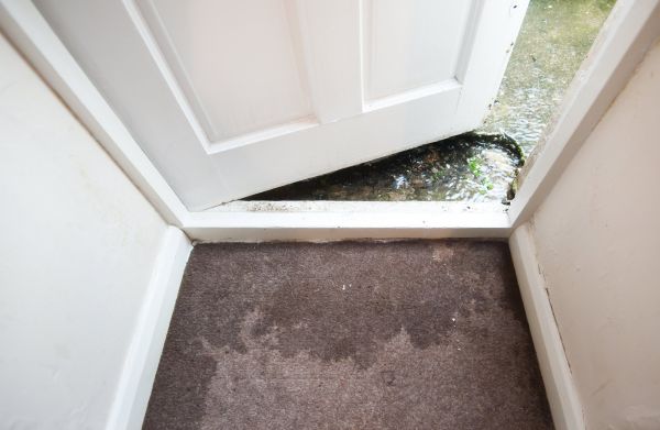 Wet Carpet Restoration in Round Rock
