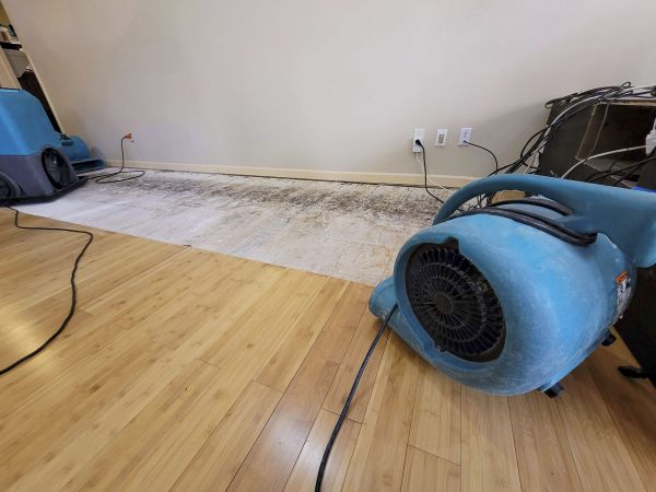 Water Damage Mitigation in Round Rock