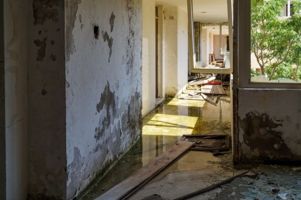 Water Removal Service in Round Rock