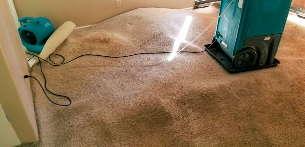 Carpet Water Extraction in Round Rock